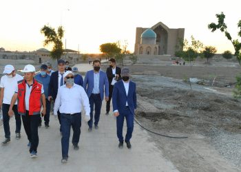 ЯСАУИ КЕСЕНЕСІНІҢ АЙНАЛАСЫНА ЕҢ ҚҰНДЫ АҒАШ ТҮРЛЕРІ ОТЫРҒЫЗЫЛАДЫ