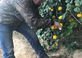 ШАБДАЛЫДАН 20 МИЛЛИОН ПАЙДА ТАПҚАН ЖЕТІСАЙЛЫҚ ШАРУА МҰРАТБЕК