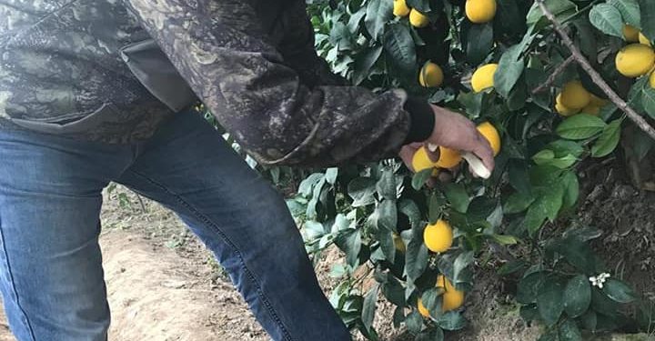 ШАБДАЛЫДАН 20 МИЛЛИОН ПАЙДА ТАПҚАН ЖЕТІСАЙЛЫҚ ШАРУА МҰРАТБЕК