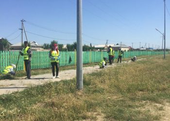 СЕНБІЛІК ЖҰМЫСТАРЫ ЖҮРГІЗІЛДІ