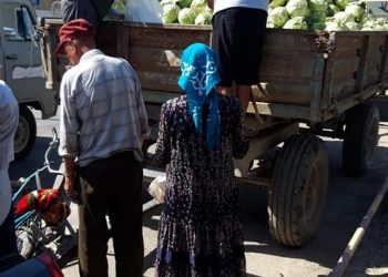 ТҮРКІСТАН-ЖЕТІСАЙ: ЖЕТІСАЙ АУДАНДЫҚ МӘСЛИХАТЫНЫҢ ДЕПУТАТЫ 20 ТОННА ҚЫРЫҚҚАБАТ ТЕГІН ТАРАТЫ