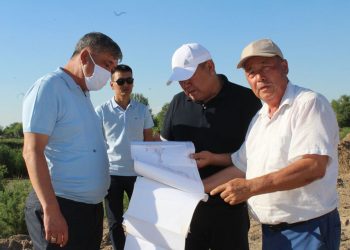 ЖЕР ҚОЙНАУЫН ЗАҢСЫЗ ПАЙДАЛАНҒАНДАР ЖАУАПҚА ТАРТЫЛАДЫ