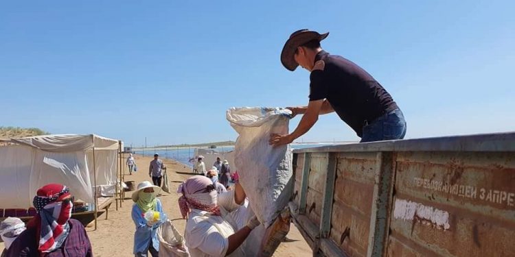 ШАРДАРА: ЖАСТАРДЫҢ БАСТАМАСЫМЕН ЭКОЛОГИЯЛЫҚ СЕНБІЛІК ӨТКІЗІЛДІ