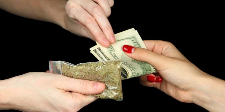 ТҮРКІСТАН ОБЛЫСЫНДА ӘЙЕЛДЕР АРАСЫНДАҒЫ ЕСІРТКІ ҚЫЛМЫСЫ АЗАЙҒАН