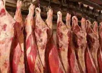 ТҮРКІСТАН: САЙРАМ АУДАНЫНДА ЖЫЛ БАСЫНАН БЕРІ 700 ТОННА ЕТ ЭКСПОРТТАЛДЫ