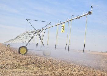 ӨМІРЗАҚ ШӨКЕЕВ: ЖАҢБЫРЛАТЫП СУҒАРУ ӘДІСІН ЕЛІМІЗДЕ КЕҢІНЕН ЕНДІРУ ҚАЖЕТ