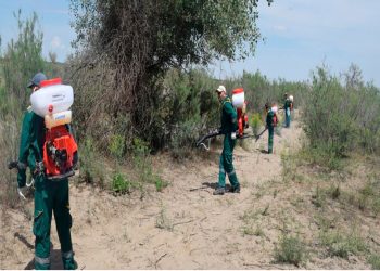ТҮРКІСТАН: СЫРДАРИЯ ӨЗЕНІНІҢ БОЙЫ ШЫБЫН-ШІРКЕЙДЕН ТАЗАРТЫЛУДА