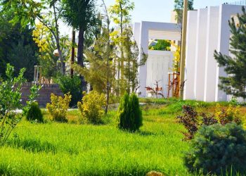 ТҮРКІСТАНДА КӨГАЛДАНДЫРУ ЖҰМЫСТАРЫ ЖАЛҒАСУДА