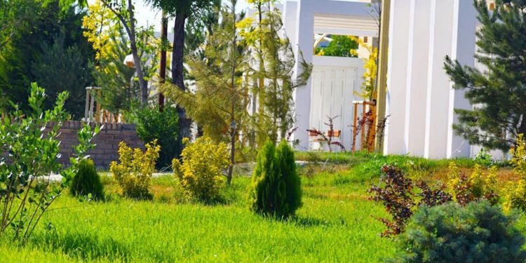 ТҮРКІСТАНДА КӨГАЛДАНДЫРУ ЖҰМЫСТАРЫ ЖАЛҒАСУДА