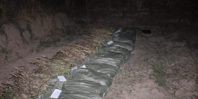 ТҮРКІСТАН ОБЛЫСЫНЫҢ ПОЛИЦЕЙЛЕРІ 205 КЕЛІДЕН АСТАМ КӨКНӘР ТӘРКІЛЕДІ