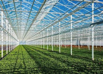 САРЫАҒАШТА ЖАЛПЫ ЖЫЛЫЖАЙ КӨЛЕМІ 664,6 ГЕКТАРҒА ЖЕТТІ