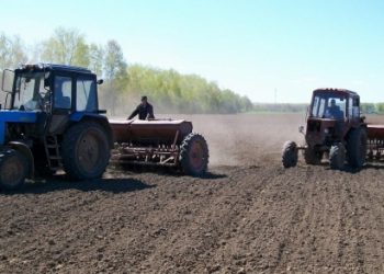 ТҮЛКІБАСТЫҚТАР ЕГІС НАУҚАНЫНДА ЕКІ РЕТ ӨНІМ АЛМАҚ