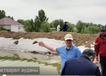 ТҮРКІСТАН ОБЛЫСЫ: НҰРЛЫ ЖОЛ АУЫЛЫНЫҢ ТҰРҒЫНДАРЫ АУДАН ӘКІМІНЕ ДӘН РИЗА