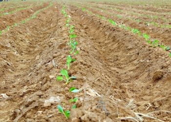 ОТЫРАРЛЫҚТАР ТИІМДІ ТӘСІЛ ҚОЛДАНУДА