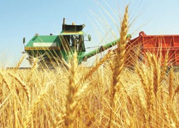 ЕЛІМІЗДЕГІ АСТЫҚ ОРУ НАУҚАНЫ ТҮРКІСТАН ОБЛЫСЫНАН БАСТАЛДЫ