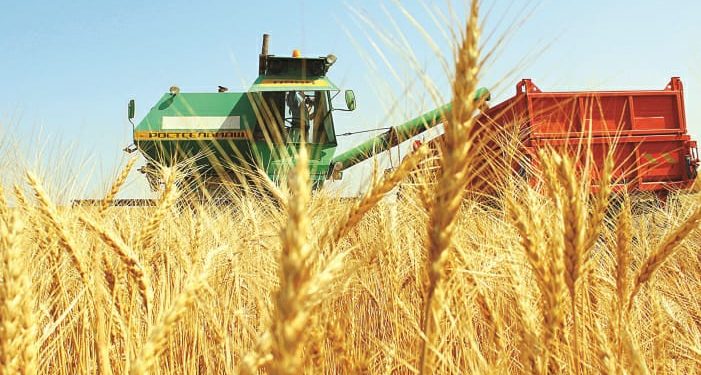 ЕЛІМІЗДЕГІ АСТЫҚ ОРУ НАУҚАНЫ ТҮРКІСТАН ОБЛЫСЫНАН БАСТАЛДЫ