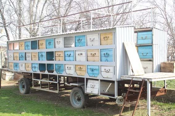 ТОҒЫЗ МЫҢ АРАДАН ОН ТҮРЛІ БАЛ ӨНДІРІЛЕДІ