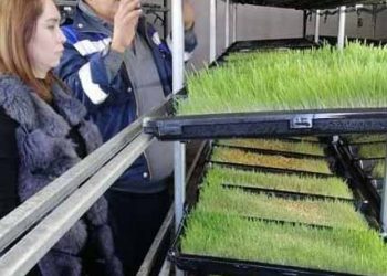 КӘСІПКЕР БІРНЕШЕ КӘСІПТІ МЕҢГЕРГЕН