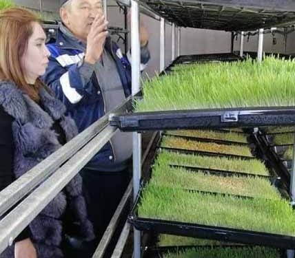 КӘСІПКЕР БІРНЕШЕ КӘСІПТІ МЕҢГЕРГЕН