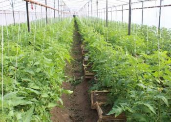 КӘСІПКЕРЛЕР ЖЫЛЫЖАЙ ЖҰМЫСЫН ЖАНДАНДЫРУДА