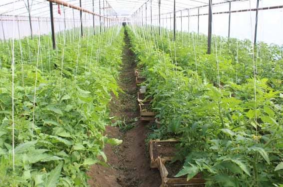 КӘСІПКЕРЛЕР ЖЫЛЫЖАЙ ЖҰМЫСЫН ЖАНДАНДЫРУДА