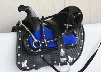 МАҚТААРАЛДА АТ ӘБЗЕЛДЕРІН ЖАСАЙТЫН ШЕБЕР БАР