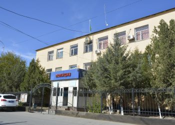 Миллион теңгенің малдарын ысырап еткен бақташы ұсталды