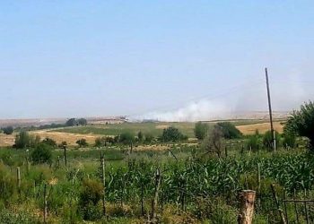 Партияның араласуымен мемлекетаралық мәселе оң шешімін тапты