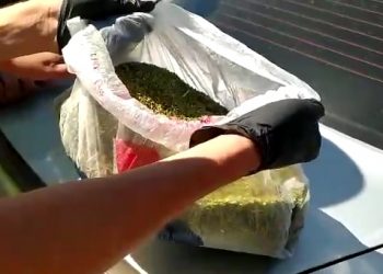 Түркістан облысында кезекті заңға қайшы әрекет жасалды