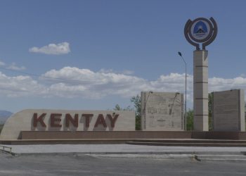 Кентауда ауылдастарын таспен ұрғандар тергелуде