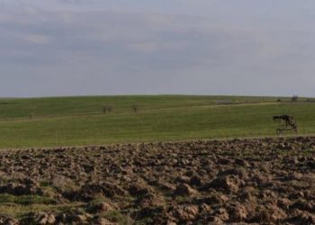 Ордабасыда игерілмеген 2300 гектардан астам жер кері қайтарылды