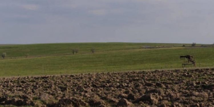 Ордабасыда игерілмеген 2300 гектардан астам жер кері қайтарылды