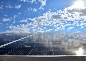 Шымкент әкімі күн электр станциясының құрылысы барысымен танысты