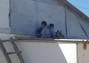 Министр екі баланың төбеге шығып сабақ оқуына қатысты пікір білдірді