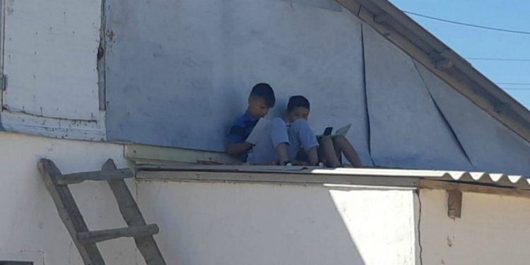 Министр екі баланың төбеге шығып сабақ оқуына қатысты пікір білдірді