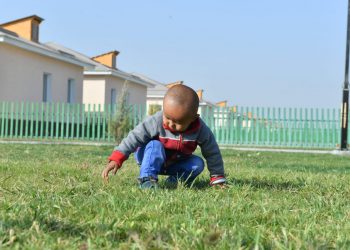 Мақтааралда жаңа шағынаудан ашылды