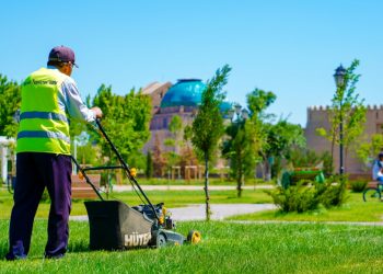 6000-ға жуық тұрғын жұмыспен қамтылды