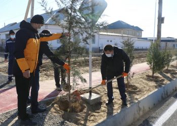 Түркістан қаласының көркеюіне түлкібастықтар үлес қосуда