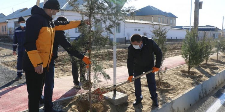 Түркістан қаласының көркеюіне түлкібастықтар үлес қосуда