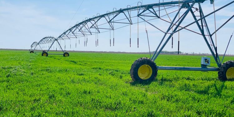 Түркістан: Кентауда ауыл шаруашылығының өнім көлемі 64 млрд.  теңгеге жеткен