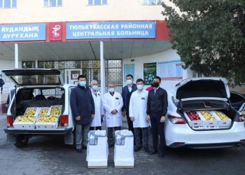 Түлкібас ауданында «көктал» шаруа қожалығы 2200 тонна алма өнімін жинаған