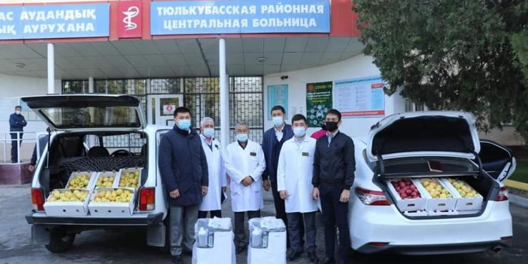 Түлкібас ауданында «көктал» шаруа қожалығы 2200 тонна алма өнімін жинаған