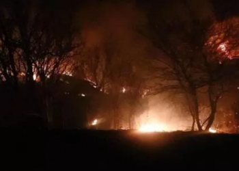 Алматының таулы ауданында өрт болды