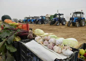 Ауыл шаруашылығын әртараптандыру – бәсекелестіктің басты шарты