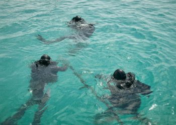 Әскери сүңгуірлер өз шеберліктерін шыңдауда