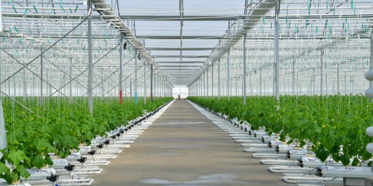 Шымкентте 2 агро-индустриалды аймақ құрылады