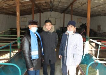 «Nur Otan» : Созақта мал шаруашылығын дамытуға басымдық беріледі