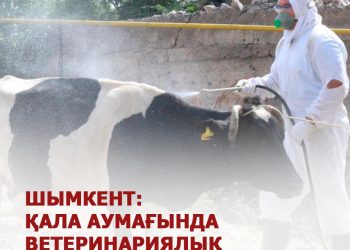 Шымкентте ветеринариялық іс-шаралар күшейтілуде
