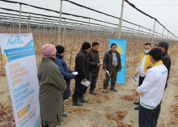 «Nur Otan» : Отырар ауданында шағын және орта бизнесті дамыту басты назарда