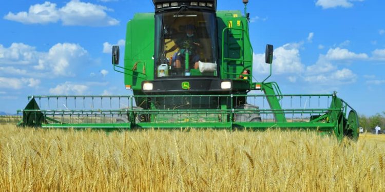 Облыста 729,7 млрд. теңгенің ауыл шаруашылығы өнімі өндірілді